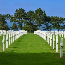 a row of white gravestones in a field with trees