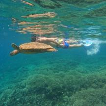 a man swimming in the water next to a turtle