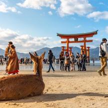 a sand sculpture of a deer sitting on the beach