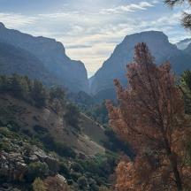 a view of a valley with mountains in the background