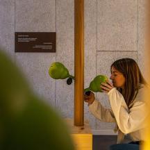a woman eating a green object in front of a mirror