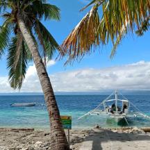 un bateau sur la plage avec des palmiers