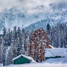 a house in a snow covered forest with a mountain