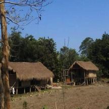 a group of huts in a field with trees