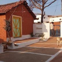 a dog standing in a parking lot in front of a house