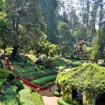 a garden with bushes and trees and people walking around