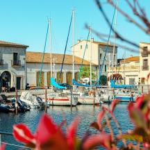 un grup de vaixells atracats en un port esportiu amb edificis
