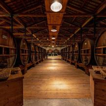 una filera de bótes de vi en un celler