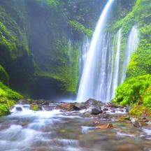 una cascata in un fiume in una foresta