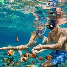 ein Mann und ein Kind füttern Fische im Wasser