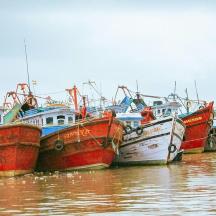a group of boats sitting in the water