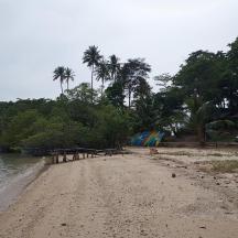 a beach with palm trees and a car parked on it