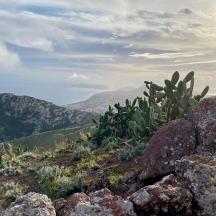 sekumpulan kaktus dan batu di atas gunung