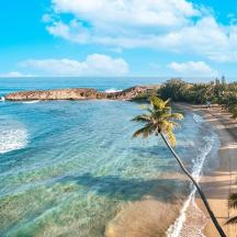 una platja amb palmeres i l'oceà