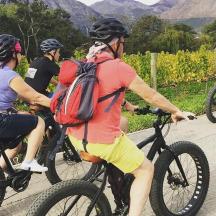 a group of people riding bikes down a road
