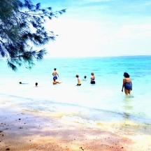 a group of people in the water at the beach