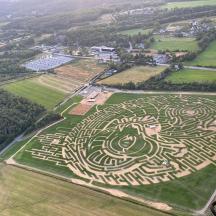 an aerial view of a maze in a field