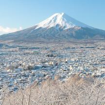 una vista di una città con una montagna sullo sfondo