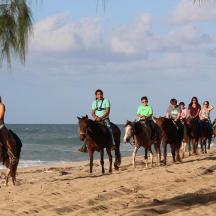 a group of people riding horses on the beach