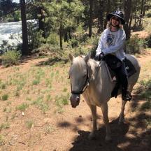en person som rir på en hvit hest på en sti