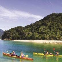 a group of people in kayaks in a body of water