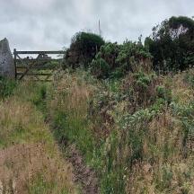 a grassy hill with a bridge on top of it