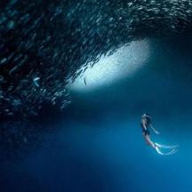 un uomo che cavalca un'onda su una tavola da surf nell'oceano