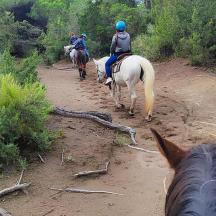 two people riding horses down a dirt road