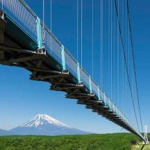 a suspension bridge with a mountain in the background