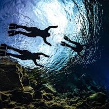 a shadow of a man swimming in the water