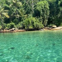 a person swimming in the water near a beach