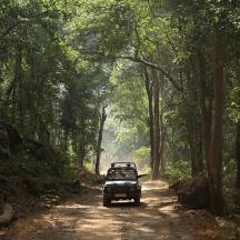 a truck driving down a dirt road in a forest