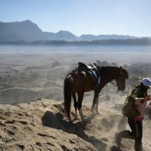 un home dret al costat d'un cavall a la muntanya