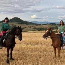 two women riding on horses in a field