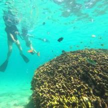 a person swimming in the ocean next to a reef