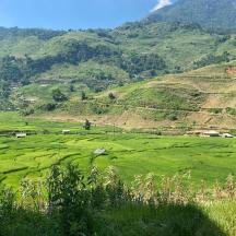 a field of green grass with mountains in the background