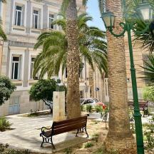un parc amb un banc, palmeres i un edifici