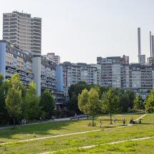 un parco di fronte a una città con edifici alti