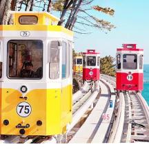 a row of trains on tracks next to the ocean