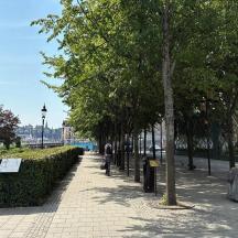 a sidewalk in a park with trees and a car