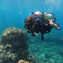 oseba se potaplja nad koralnim grebenom