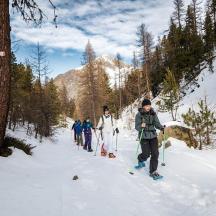 sekumpulan orang bermain ski merentas desa di salji