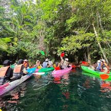 a group of people in kayaks on a river