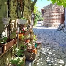 an alley with potted plants on the side of a building