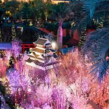 a fountain at the dubai miracle garden at night