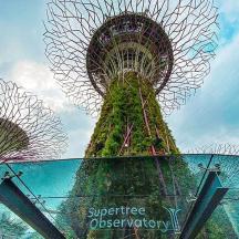 a view of the spheres observatory in a city