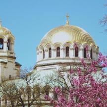 a building with a gold domes and a tree with pink flowers