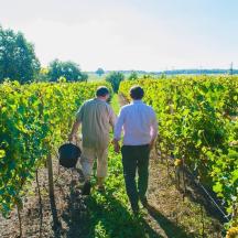 two men walking through a field of vines
