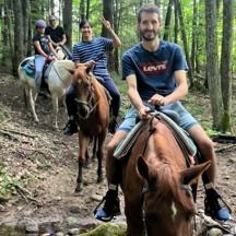 a group of people riding horses in the woods