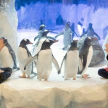 dos nens miren pingüins en una exposició